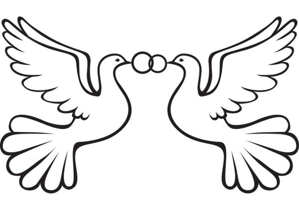 Голуби на свадьбу трафарет