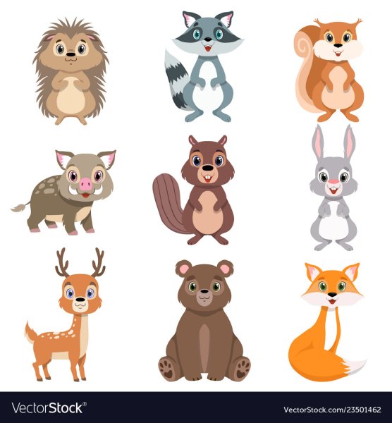 Лесные зверята на белом фоне