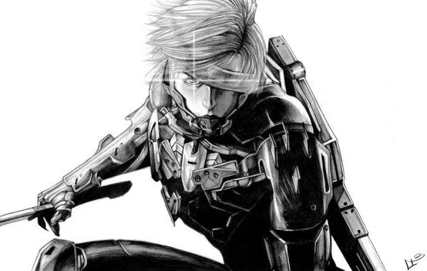 Raiden Metal Gear
