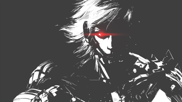 Raiden Metal Gear Rising