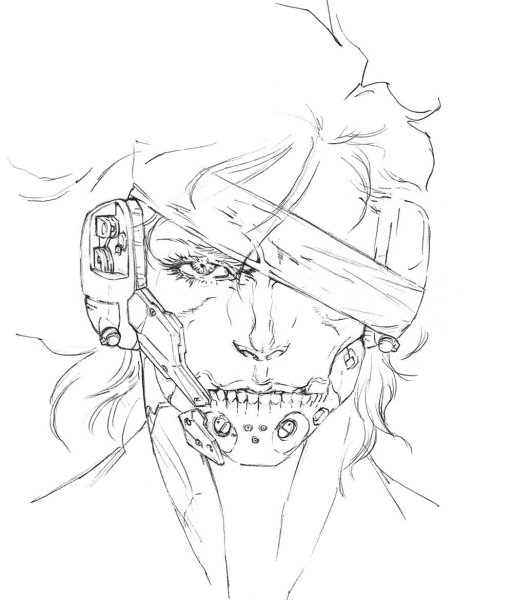 Raiden Metal Gear