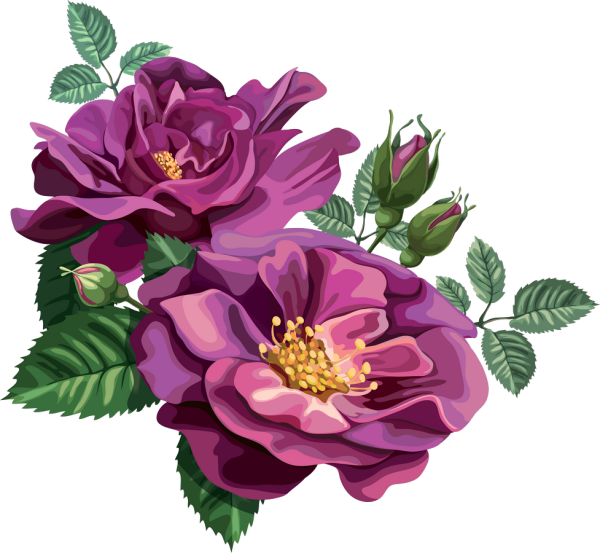 Стикеры цветы на прозрачном фоне