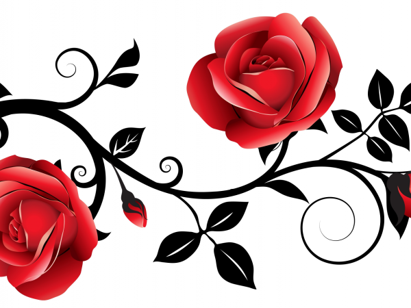 Орнамент розы