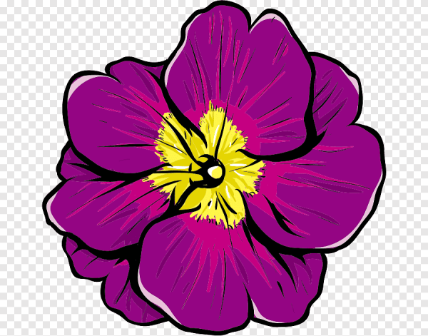 Нарисовать цветы