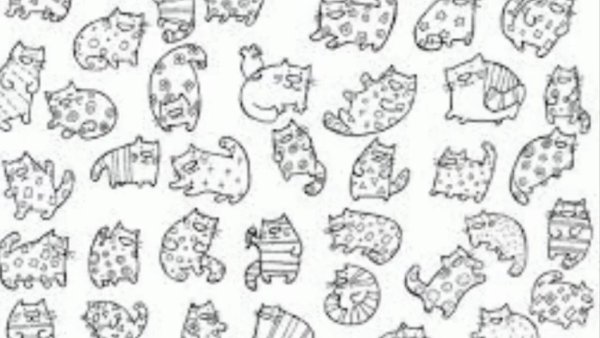 Раскраски котики маленькие