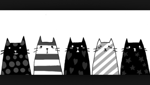 Котики для ЛД чёрно белые