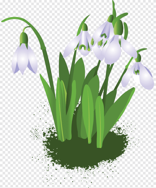 Символ весны