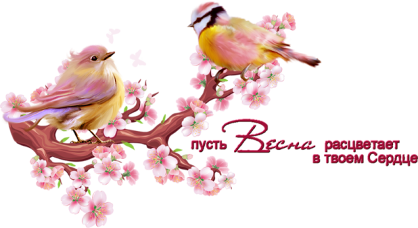 Весенние надписи на прозрачном фоне