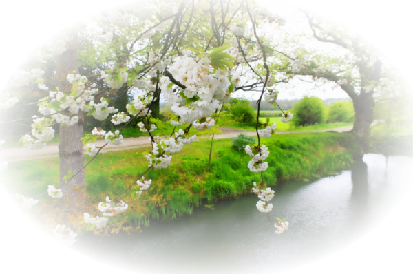 Весна клипарт