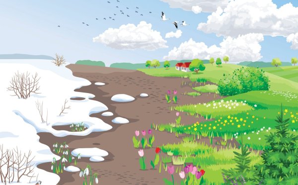 Весенняя Полянка с ручейком