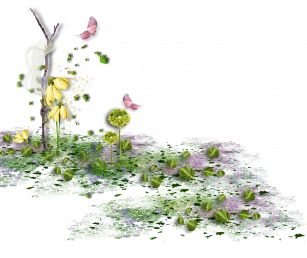 Природа на прозрачном фоне для фотошопа