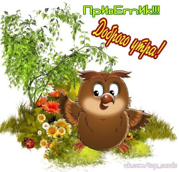 Привет с добрым утром