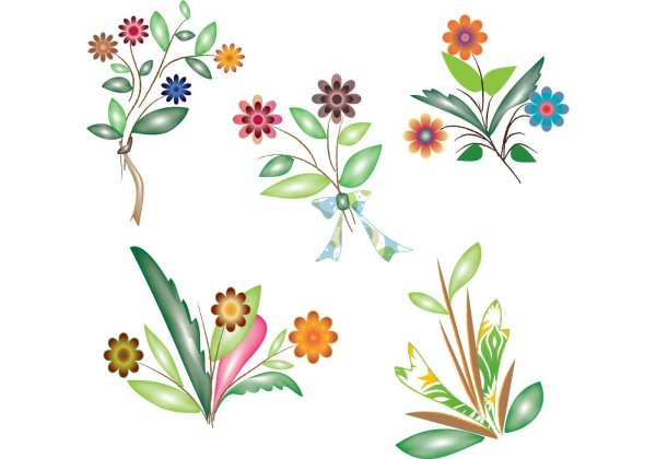 Полевые цветы вектор