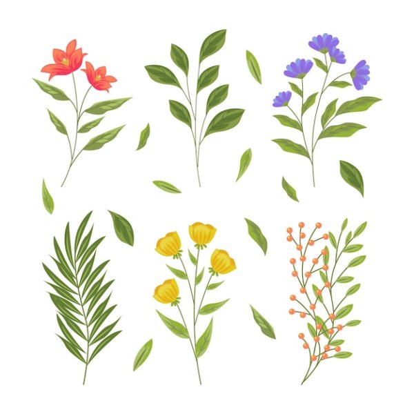 Полевые растения вектор