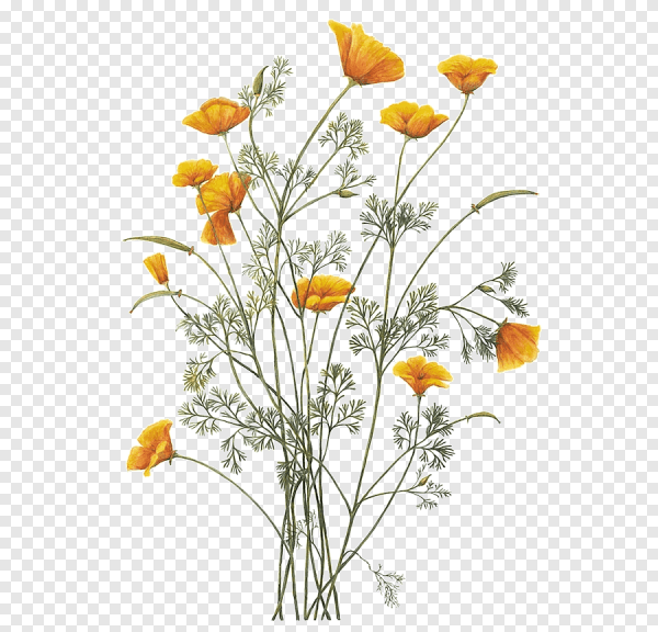 Полевые цветы Винтаж