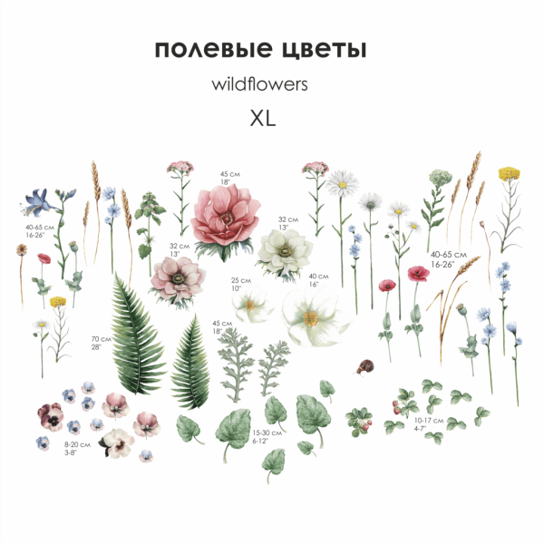 Полевые цветы декоративно