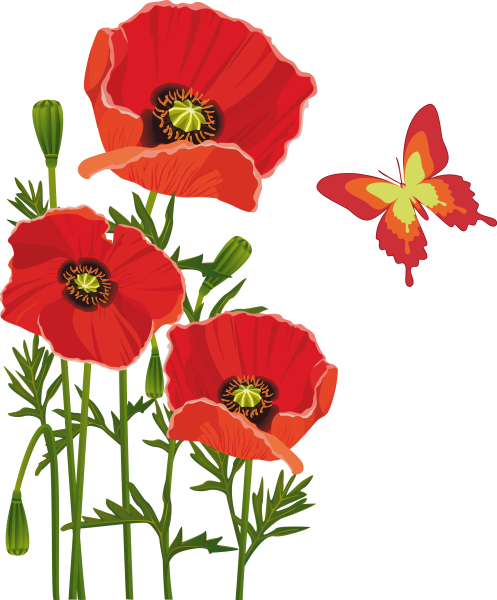 Мак на прозрачном фоне