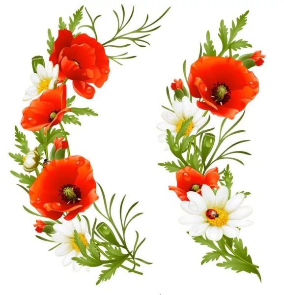 Мак орнамент