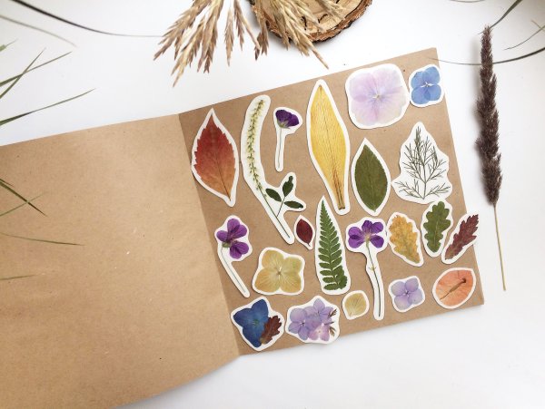Наклейки из сухоцветов