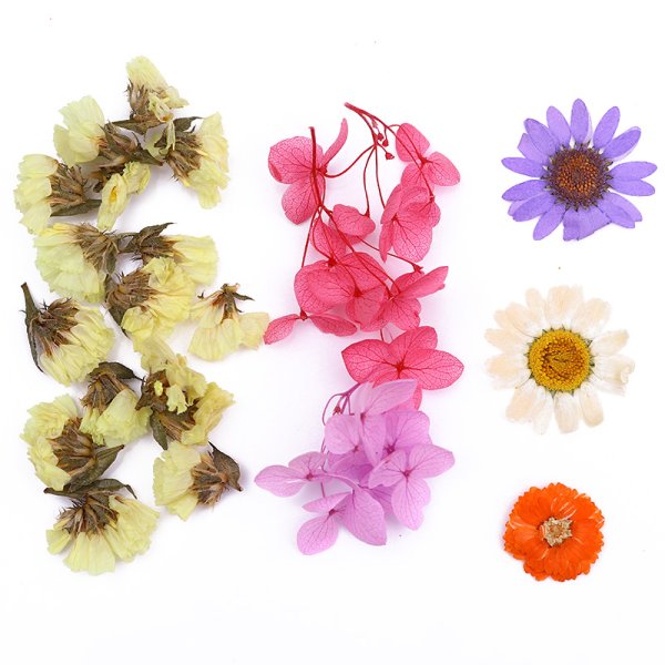 Засушенный цветочек