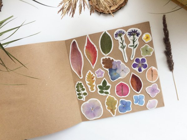 Наклейки с сухоцветами