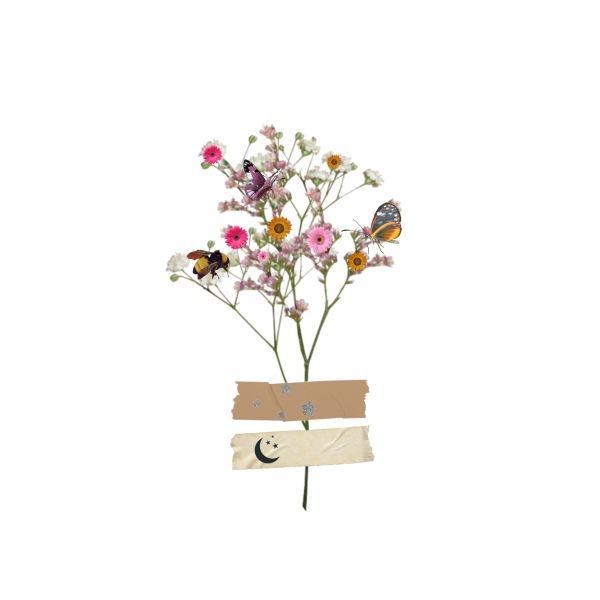 Наклейки с сухоцветами