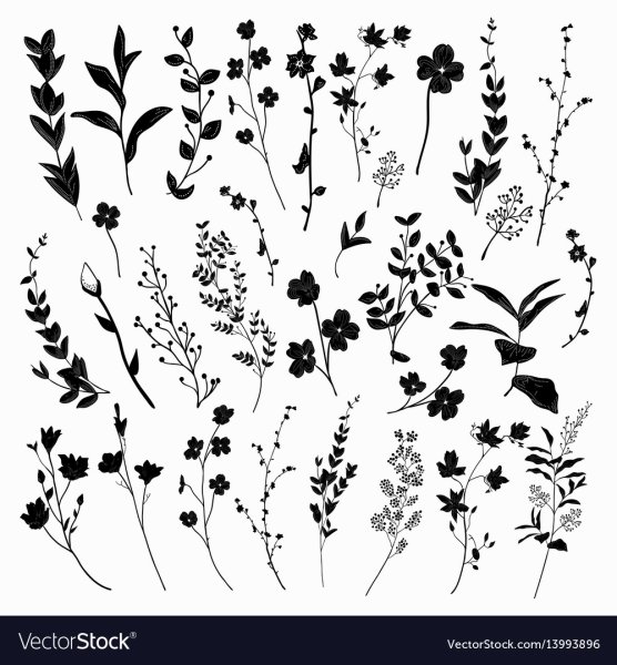 Наклейки для травника черно белые