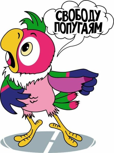 Попугай Кеша свободу попугаям
