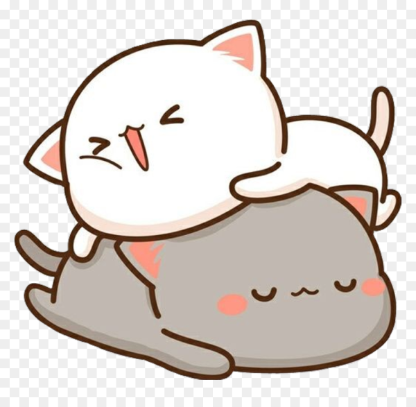 Кавайные котики парочка