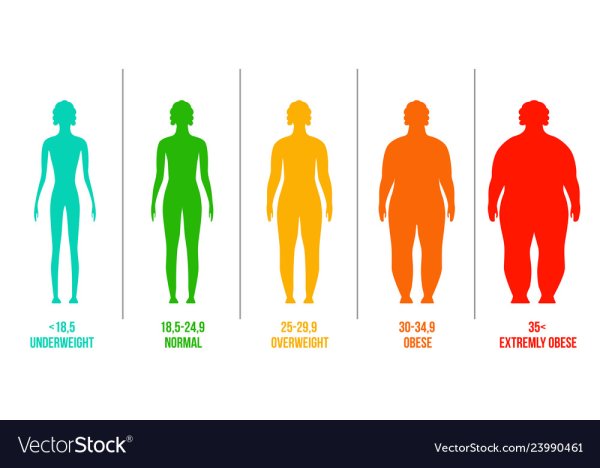 Силуэт фигуры при различном ИМТ