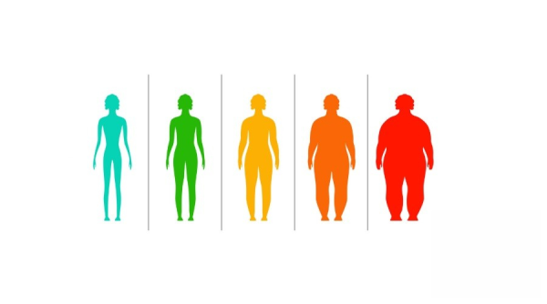 ИМТ пиктограмма