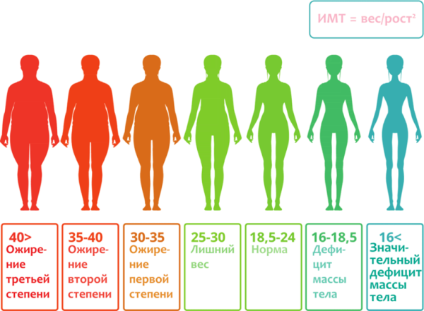 Формула расчета индекса массы тела показатели ИМТ