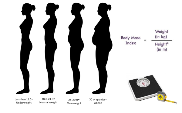 BMI индекс массы тела