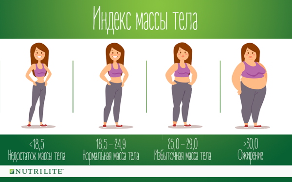 Индекс массы тела
