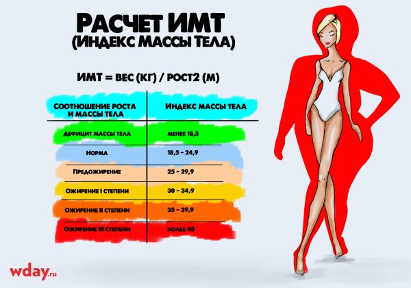 Средний вес женщины