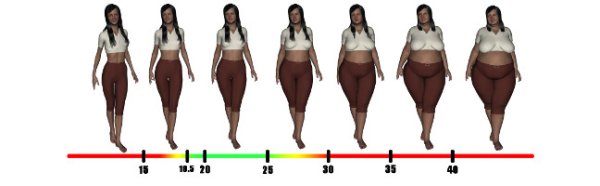 Стадии полноты у девушек