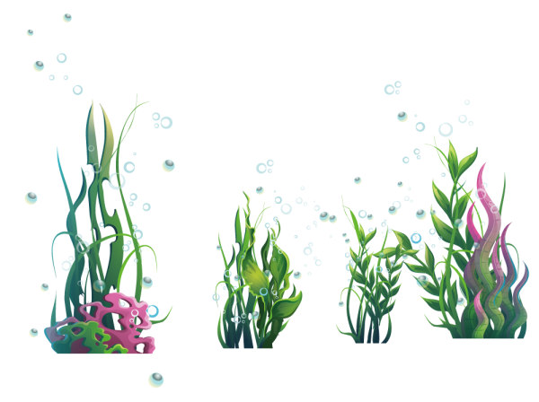 Водоросли на прозрачном фоне