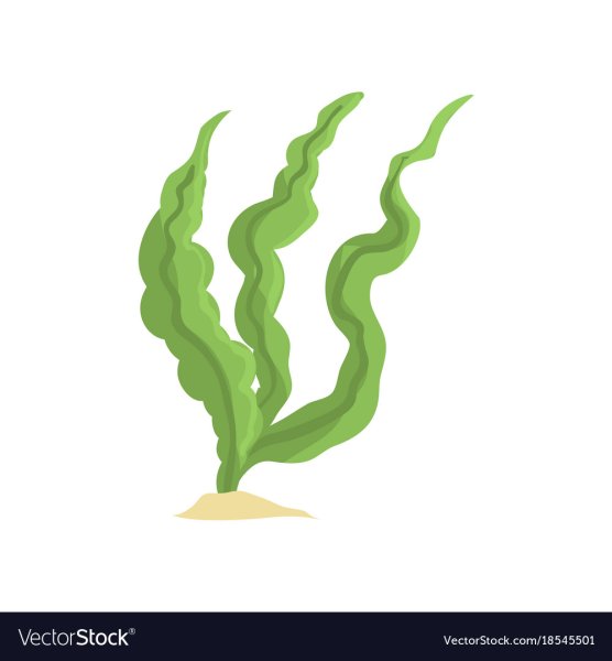 Водоросли символ