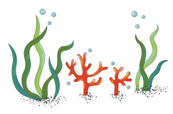 Водоросли фукус вектор
