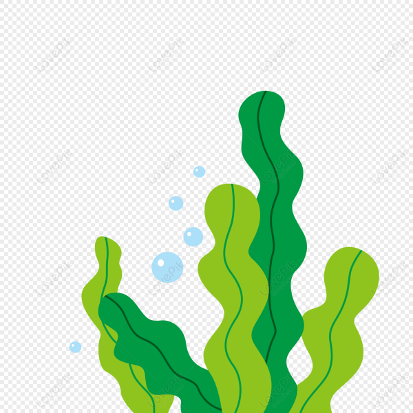 Водпослы из Спанч Боба