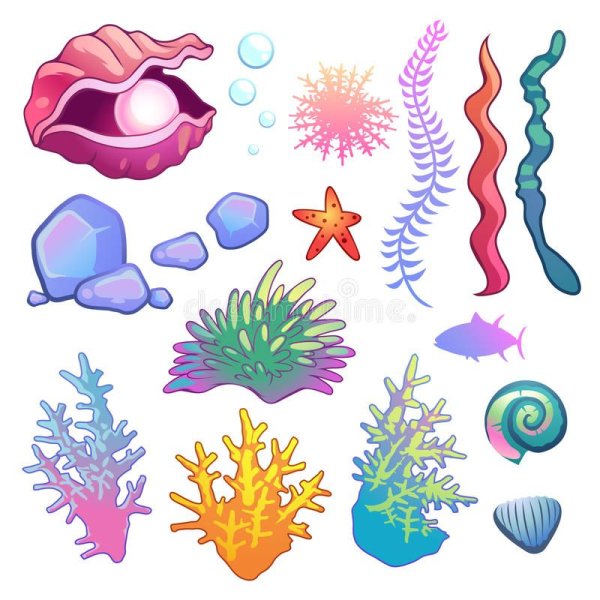 Водоросли для распечатки