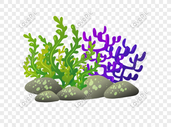 Наклейки водоросли интерьерные