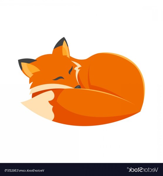 Спящий Лисенок на белом фоне