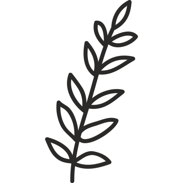 Веточка черно белая