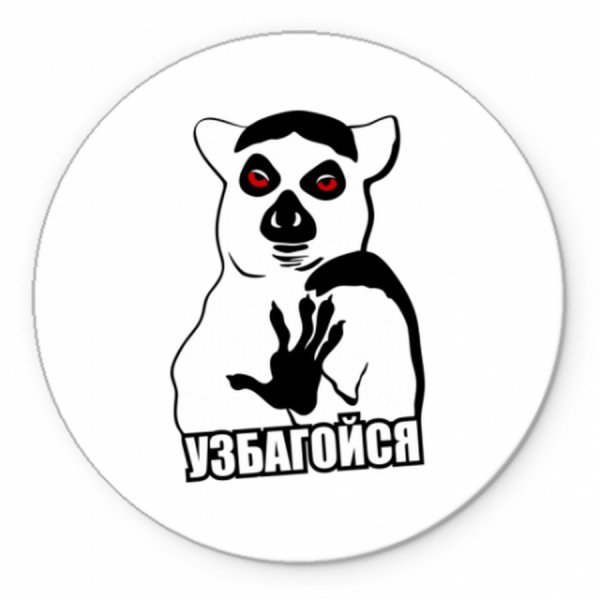 Енот узбагойся