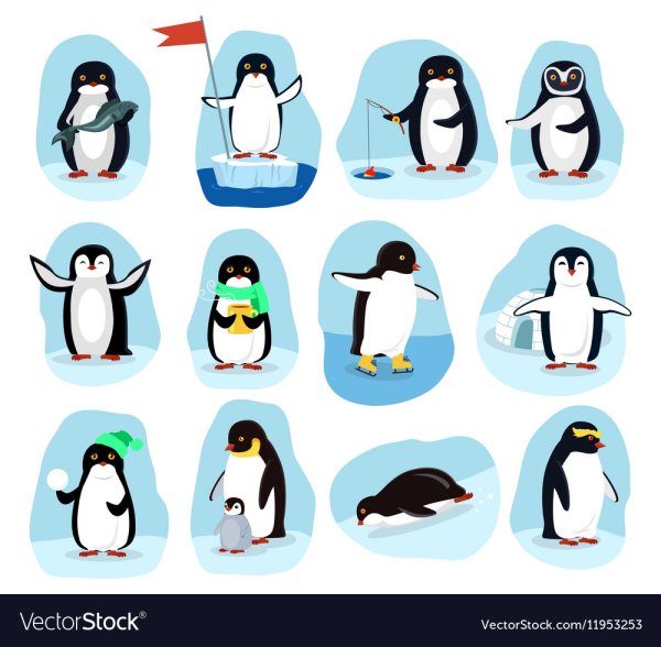 Плакат с пингвинами