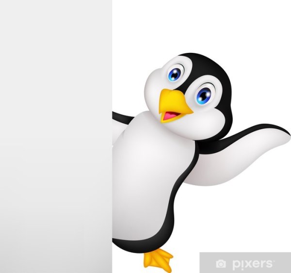 Пингвин выглядывает