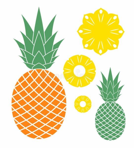 Кусочек ананаса вектор