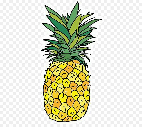 Кактусовый ананас