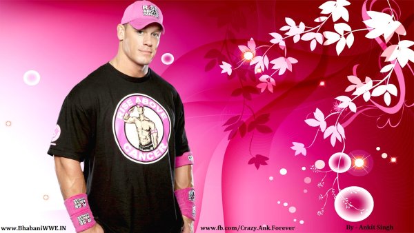 John cena Stickers a4